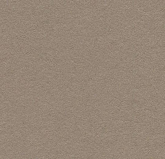 Линолеум Forbo Bulletin Board 2208 mushroom medley фото 1 | FLOORDEALER